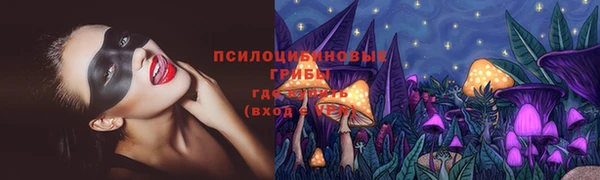 мдпв Козловка