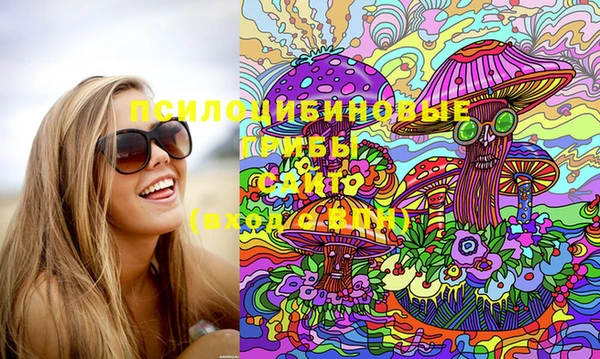 мдпв Козловка
