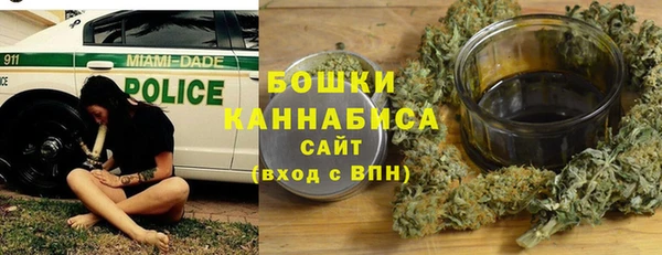 мдпв Козловка